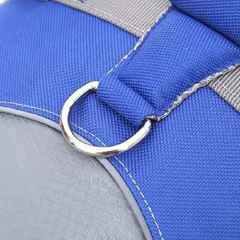 Best Choice for Water Safety: Dog Life Vest to Prevent Drowning