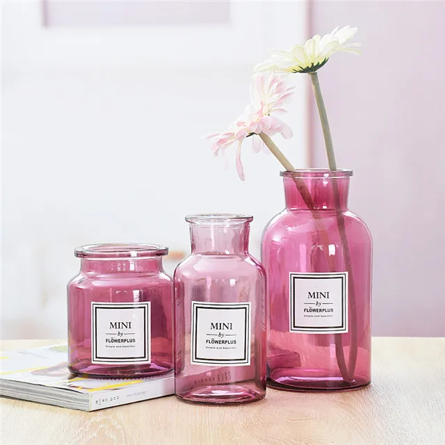 
Vases Transparent Glass Vase Decoration Home Stickers Ins Nordic Hydroponics Decoration Glass vase 