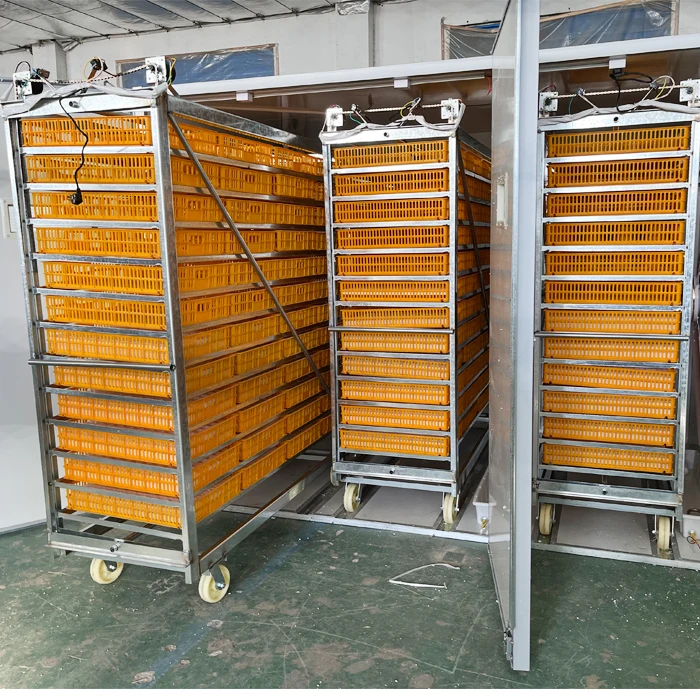 10000-30000 eggs incubators hatching eggs for sale