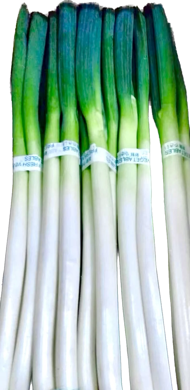 Hot Sell Frozen Vegetable Food Spring Onion Cut Green Onion High Quality With Cheap Price New Crop Shape Customization 100% Good