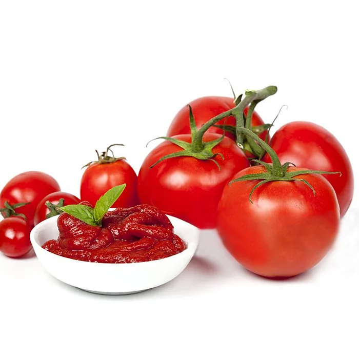 210g Canned Tomato Paste 28% Tin Tomato Paste for Buyer Tomato Paste Distributors