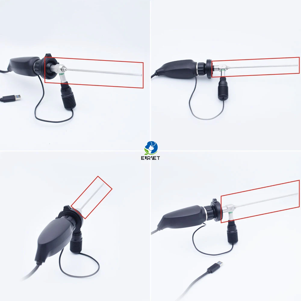 EUR PET оптовая цена высококачественная медицинская портативная Usb-камера с ветеринарным эндоскопом ветеринарное оборудование источником света