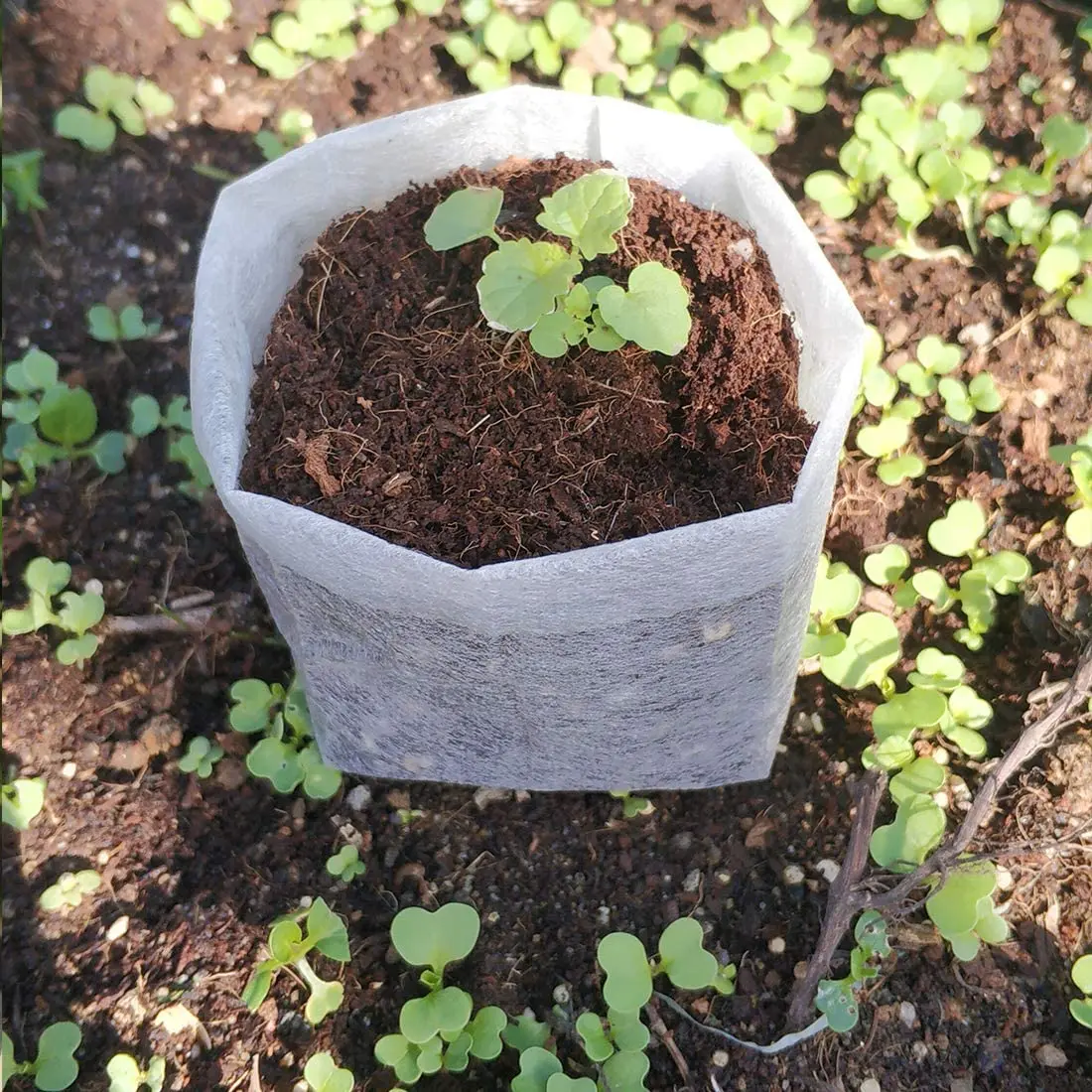 Non woven fabric biodegradable nursery grow bag non toxicity seedling growing pot