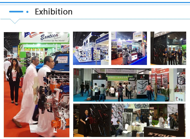 mountain bike Bottle Holder