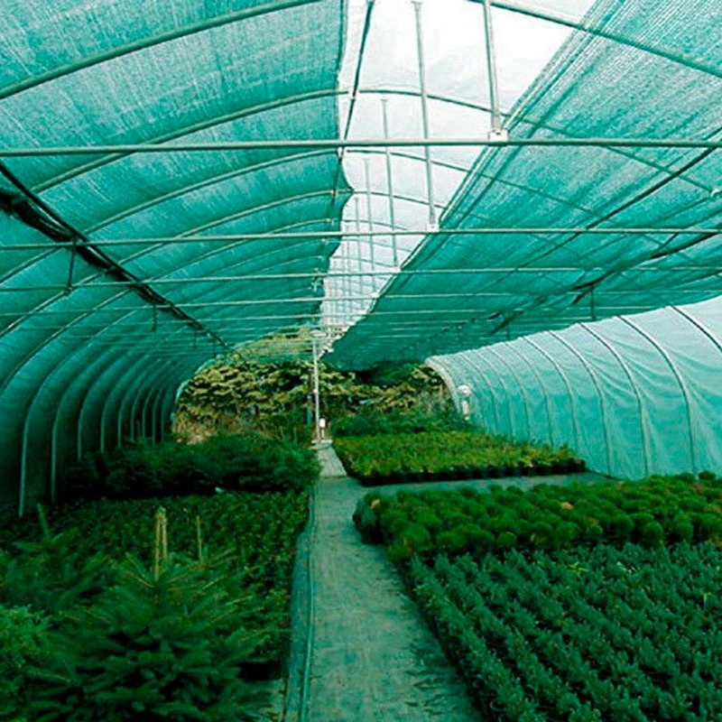 Agriculture Low Price HDPE Green color Sun Shade Netting 30%-90% shading rate