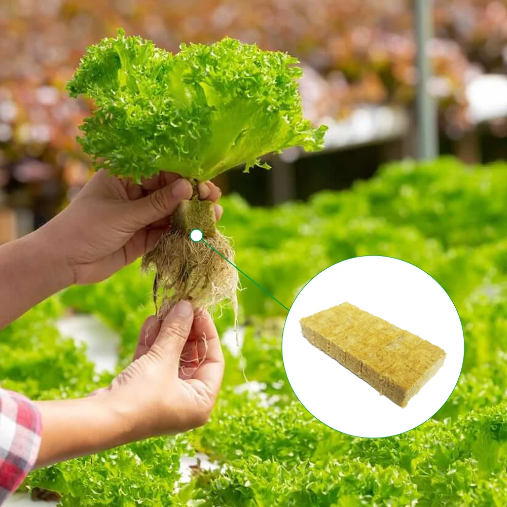 UPuper leafy vegetables growth media rock wool slabs hydroponics for growing seedlings