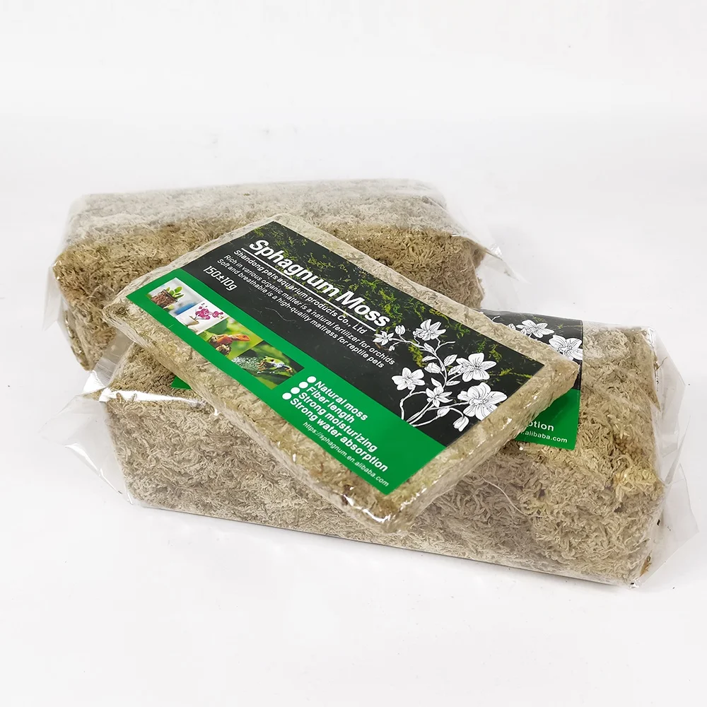 150G Long Fibered Sphagnum Moss For Potting Sarracenia Pitcher Plants Carnivorous Plants