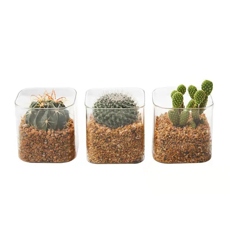 10*10cm Transparent Square Glass Vase Indoor Succulent Green Home Decoration Flower Pots & Planters for Garden