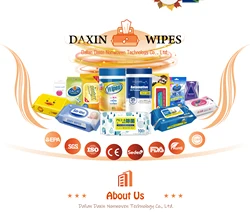 Wholesale Household OEM China Manufacturer Disposable Fresh Scented Multi-Purpose Auto Car Hygienic Cleaning Wet Wipes