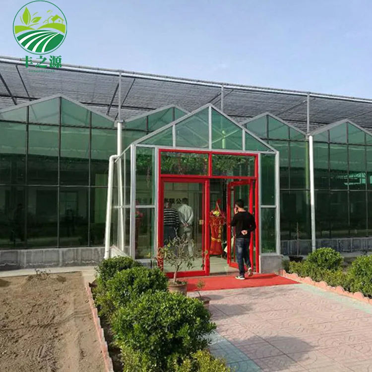 The Cheapest Hot Sale Agricultural Glass Greenhouse Green House For Vegetables