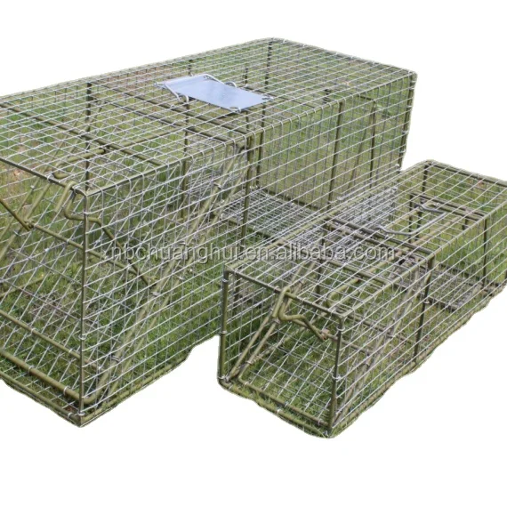 Professional Pest Control Factory Humane Large Live Animal Wild Animal Trap
