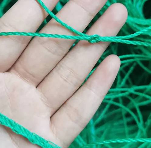 tomato peas Bitter melon yam beans Various vegetable plants Climb net 6 years service life 10-15cm mesh green 100% HDPE