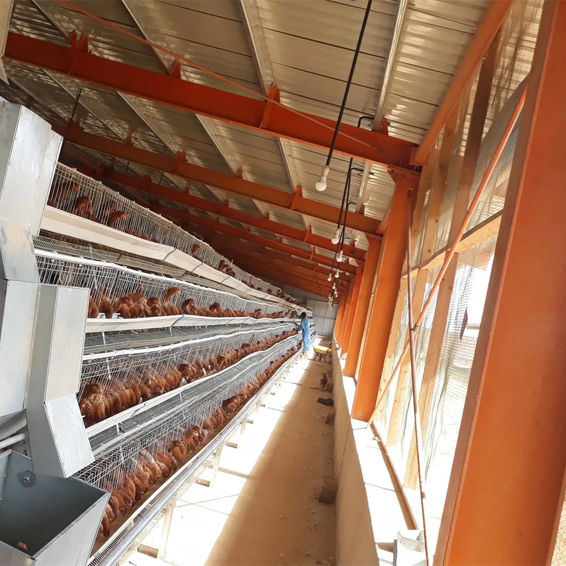 A Type Battery Layer Chicken Cages Automatic Egg Poultry Farming Building