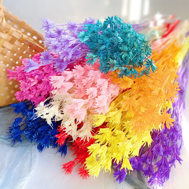 Yunnan Starflowers Supply Decorative Vase Bouquets Natural Dried Flowers Octagon Flower for Arrangement