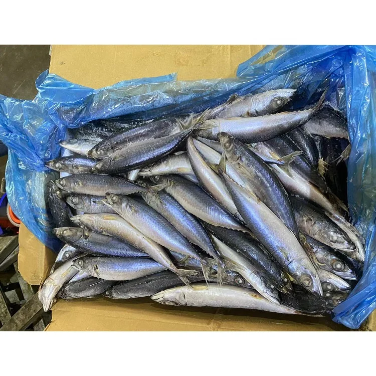 Норвежская замороженная скумбрия/Тихоокеанская/индийская/атлантическая Скумбрия Рыба