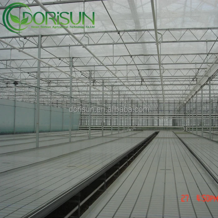 Hydroponic growing tray movable ebb and flood rolling bench in America