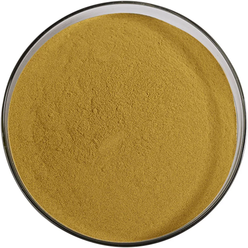 Kosher Organic Ginkgo Biloba Extract Water Soluble Dried Leaves Powder Food Grade Herbal Supplement in Drum Packaging