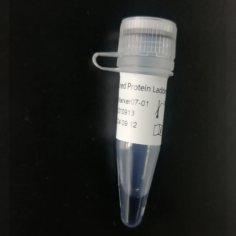 Biocomma colorful prestained colors prestained protein ladder