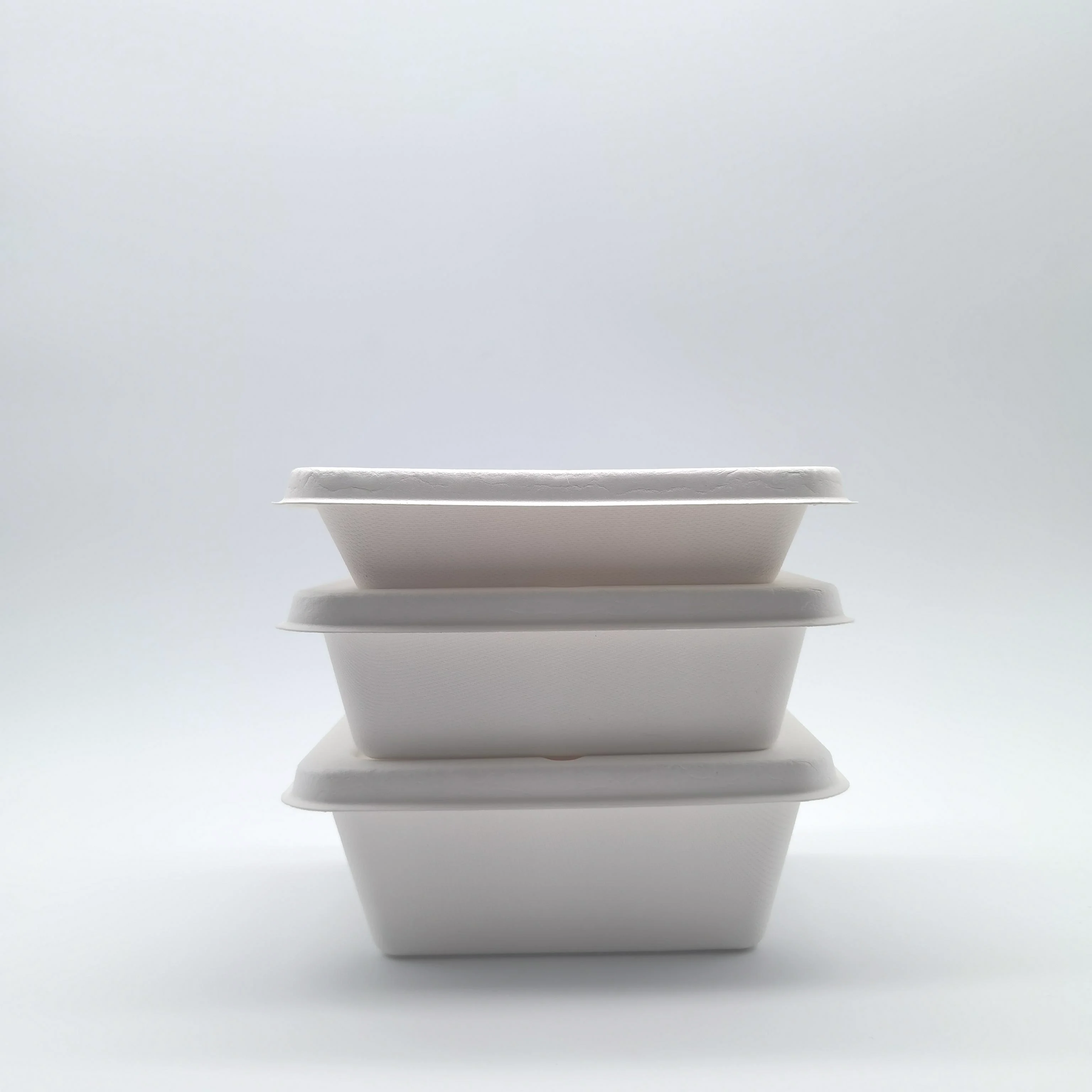 100% Compostable Biodegradable Sugarcane Bagasse Bento Box Bamboo Pulp Food Container