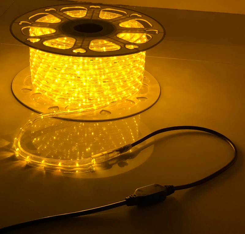 Residential Outdoor RGB LED Rope Lights 24v/220v Warm White 3000K CCT Decorative Permanent Light Strip Remote Control Switch