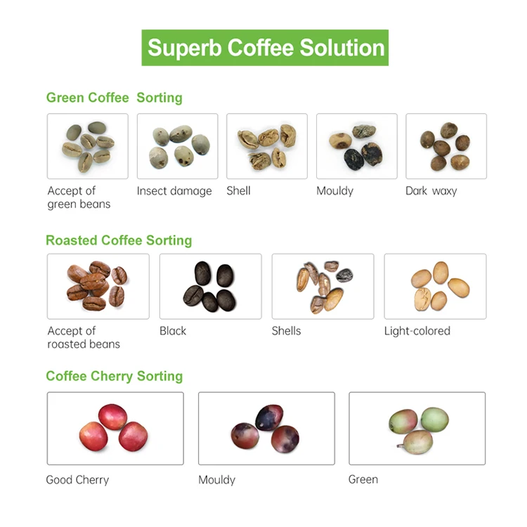 Custom processing equipment Large fast coffee bean sorting machine coffee color sorter coffee color sorter machine
