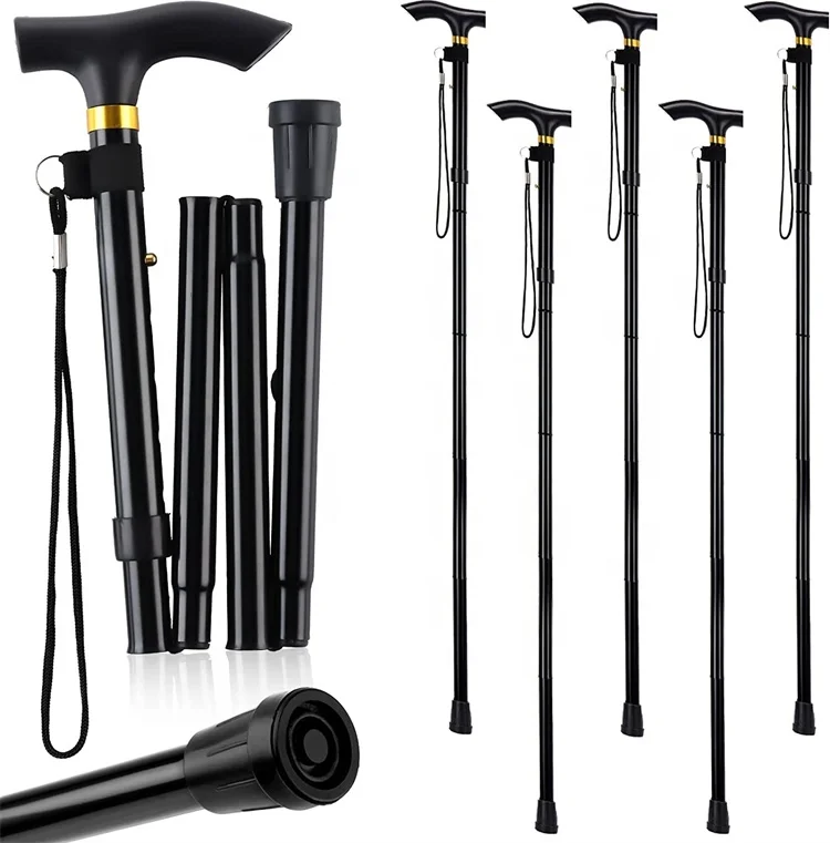 walking sticks07