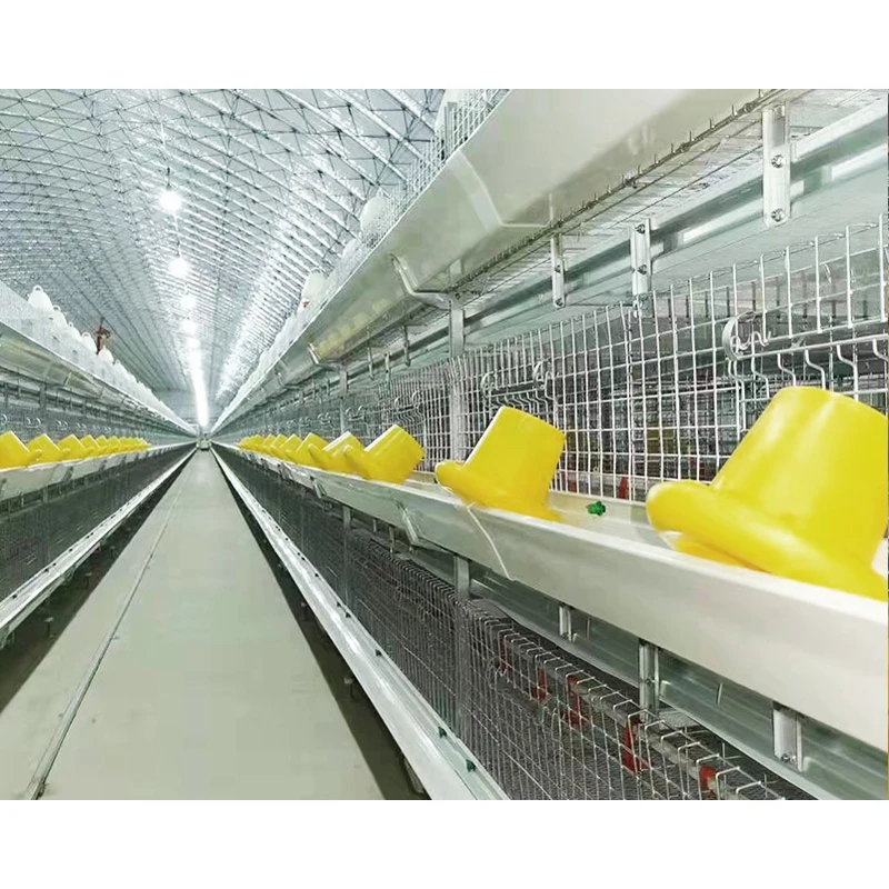 Poultry Broiler Chicken Farm H Type Animal Cages Broiler Chicken Cage System For 120 00 Birds