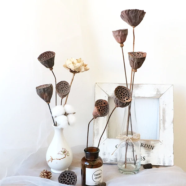 Оптовая продажа домашний декор высушенные цветы и растения высушенный цветок виберна капсула лотоса