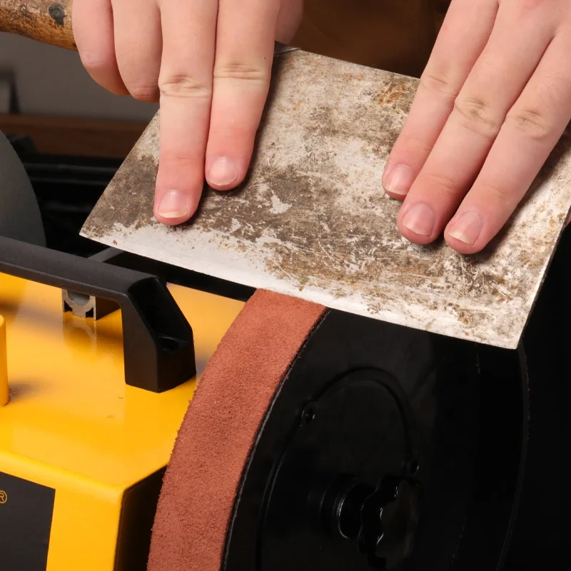 LUXTER New 8-Inch Wet Sharpener Machine Variable Speed for Knife Sharpening Polishing 8 inch(Wet & Dry Dual-use)Sharpener