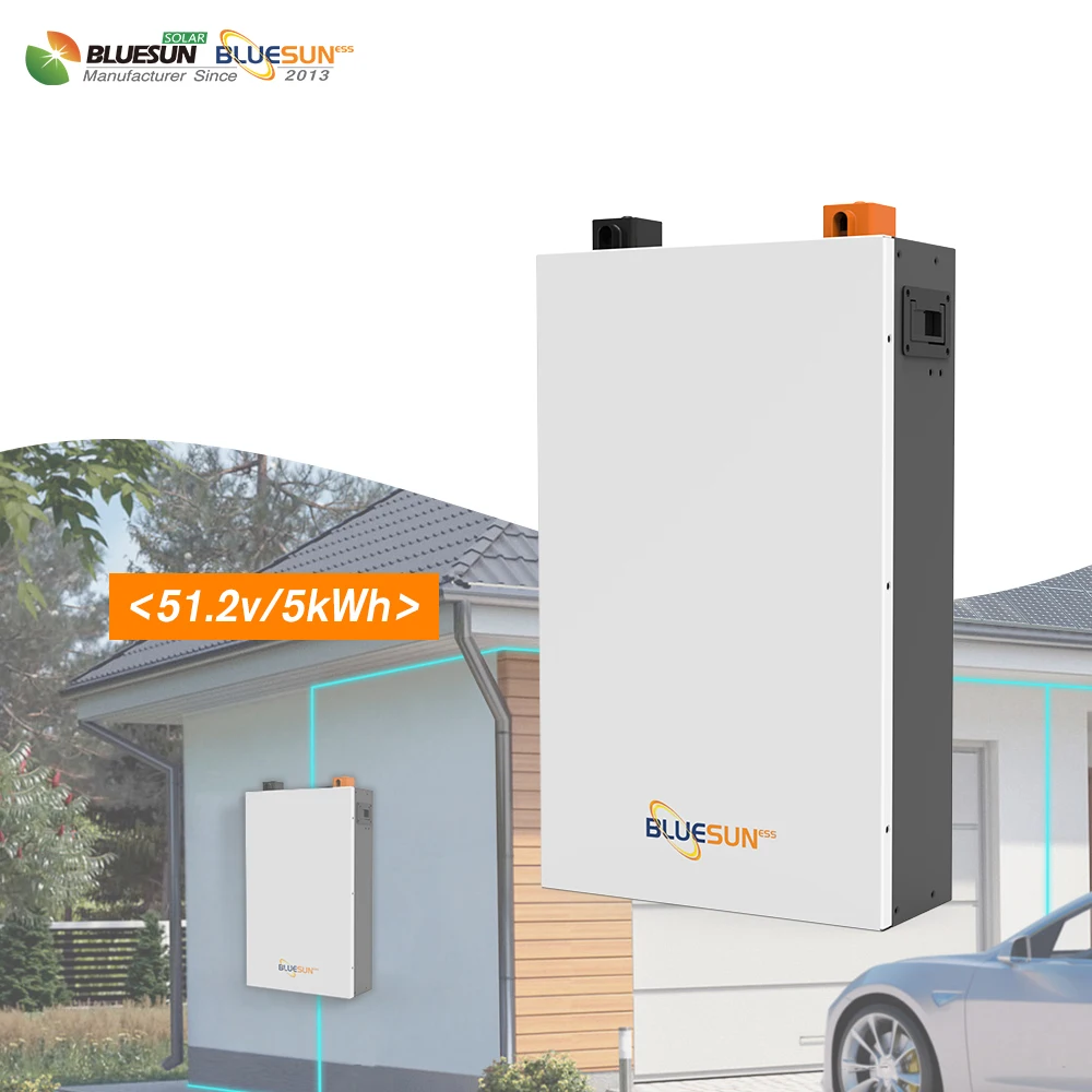 Home use wall mounted lithium battery 48v 5.1kwh lithium ion phosphate  battery with best price