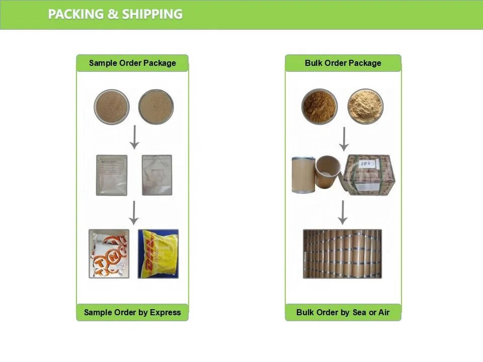 
EGCG manufacturer supply high purity green tea extract Powder 98% Epigallocatechin Gallate / EGCG 