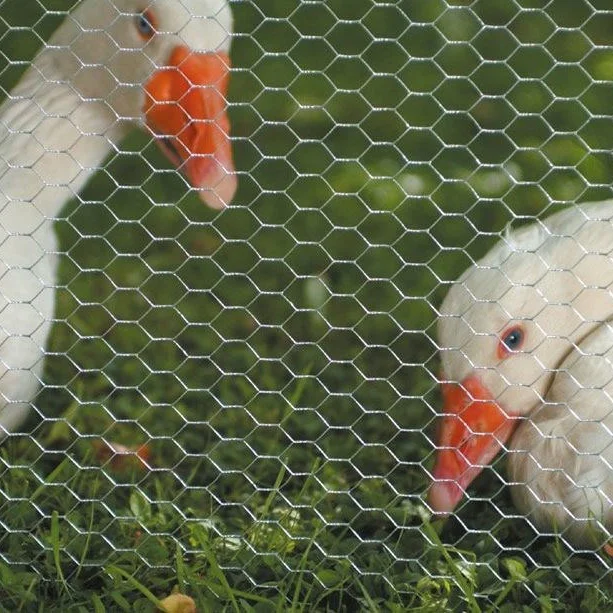 ZHENYU factory supply poultry chicken pets cage used 3/4' 1' electro hexagonal wire mesh rolls warming rack for agriculture