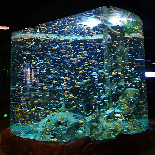Factory custom transparent large acrylic tube aquariums