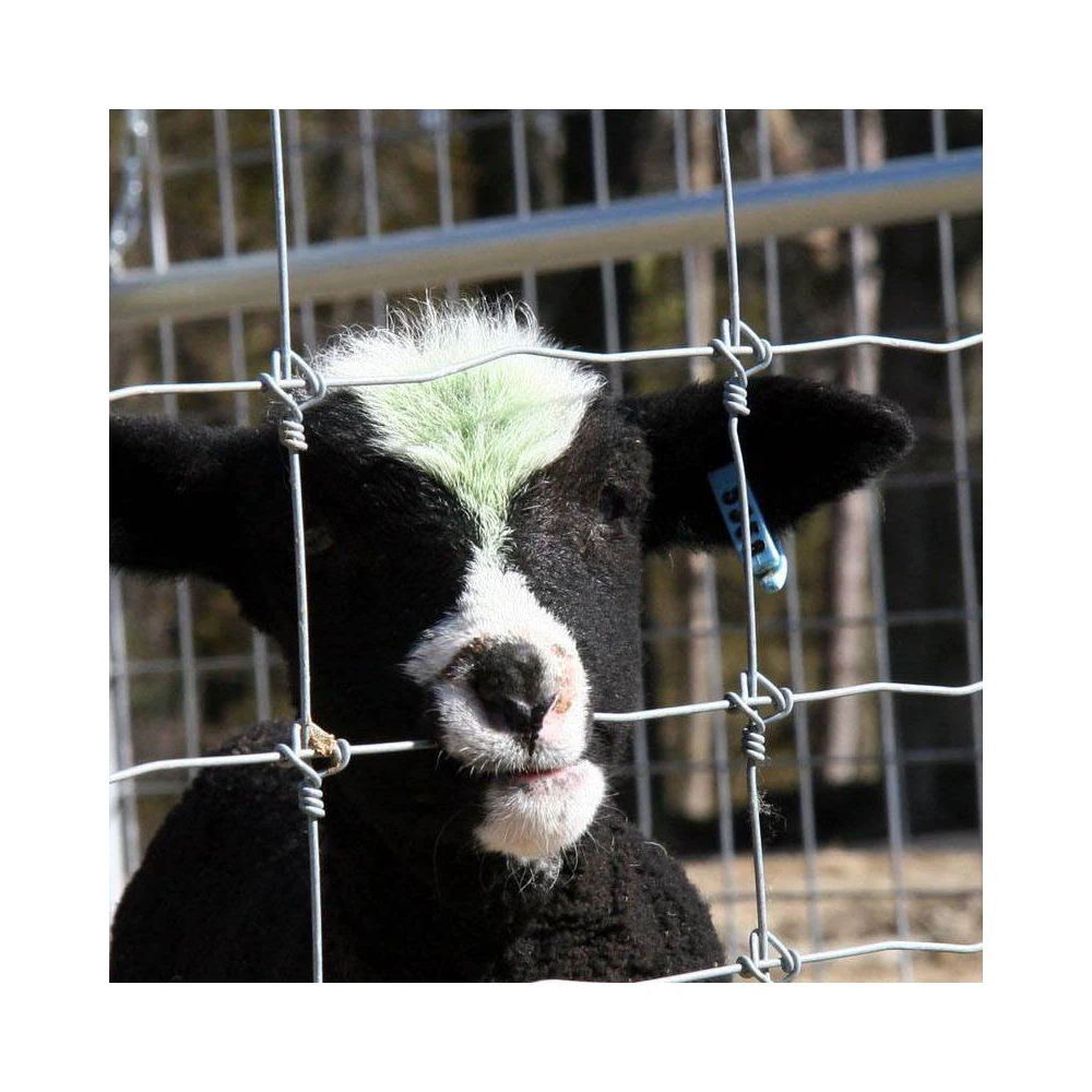 BOCN cheap farm metal horse paddock fence farm animal fence 8 feet wire fences for livestock farm in ca usa