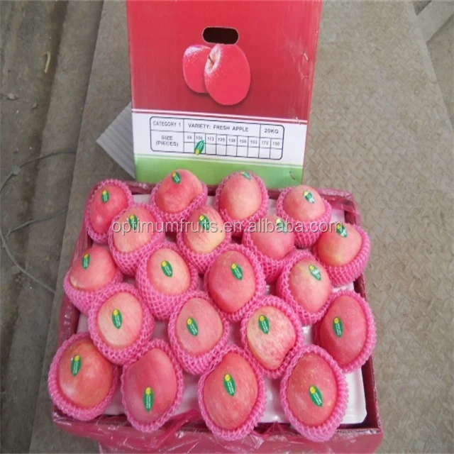 Manufacturer price top guality fresh royal fruit gala apple