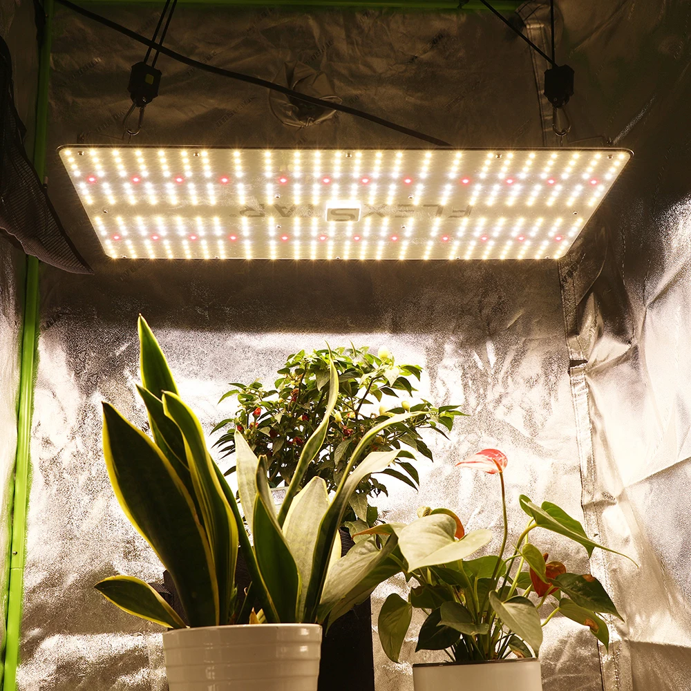 Advanced Hydroponic Plant Grow Light Full Spectrum 120 watt 240 watt 480 watt for Horticulture Tent