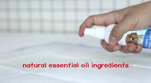 Absorbent And Leak-Proof Non-Woven Fabrics Puppy Pads Pet Training Pads