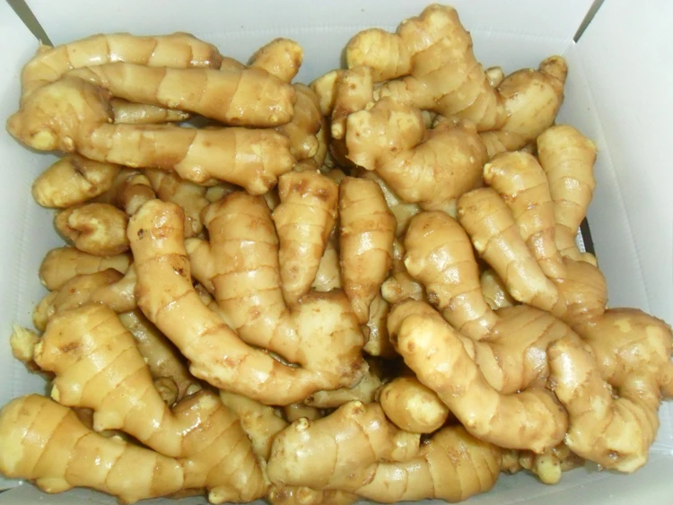 Good quality ginger fresh from China