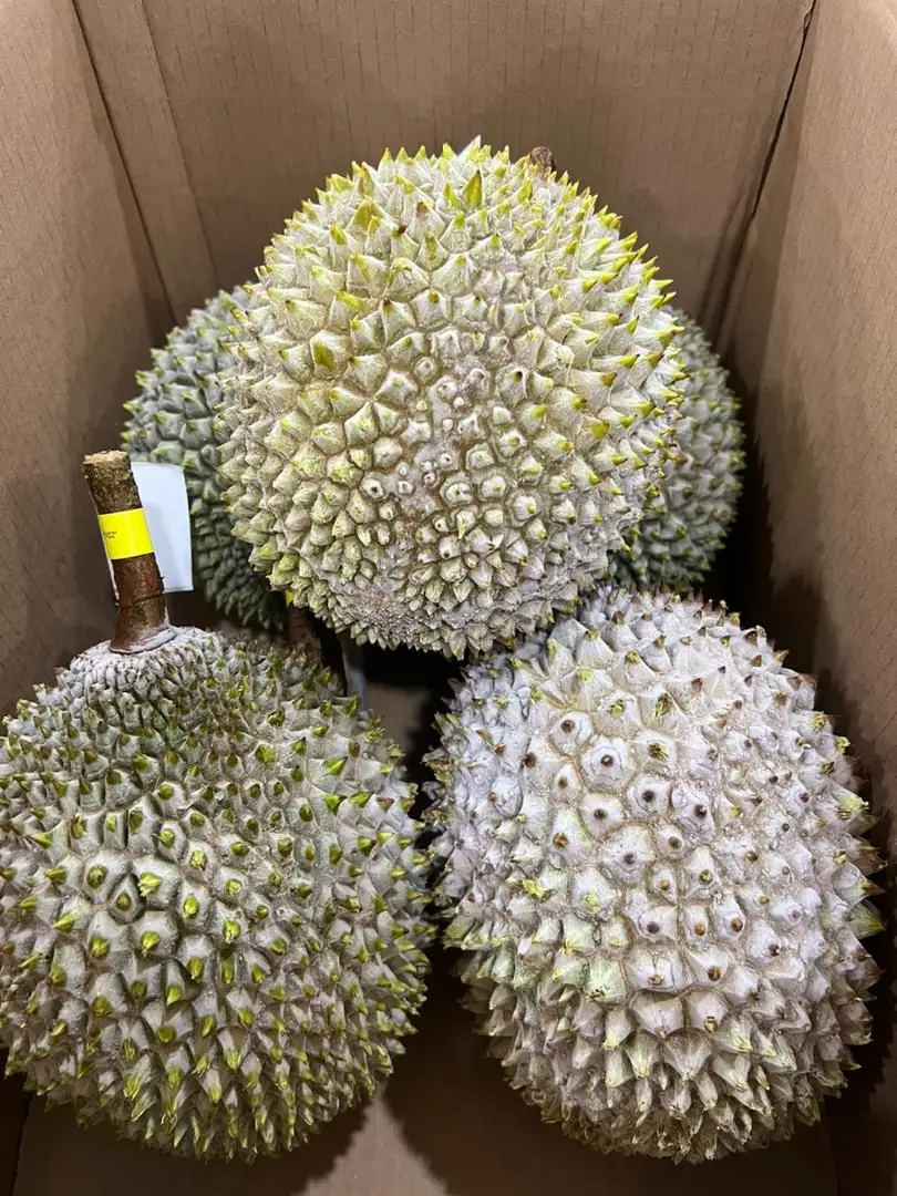 Пик совершенства дуриана свежий Премиум Musang King Durian D197