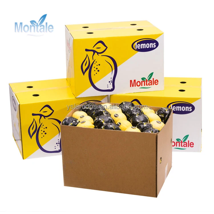  Свежий лимон высокого качества от Anyue Lemon