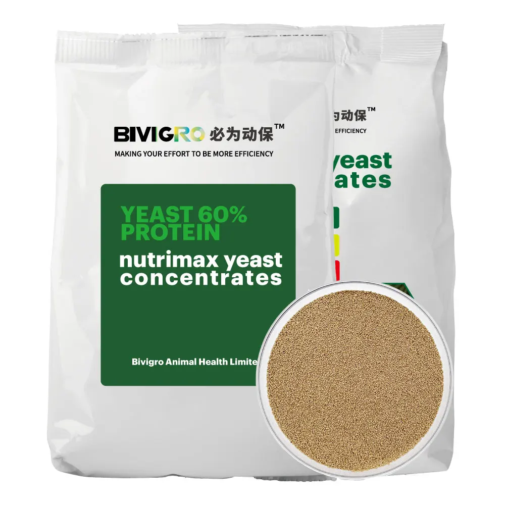 High Quality Feed Additives Yeast Protein 60% for Poultry Livestock Feed