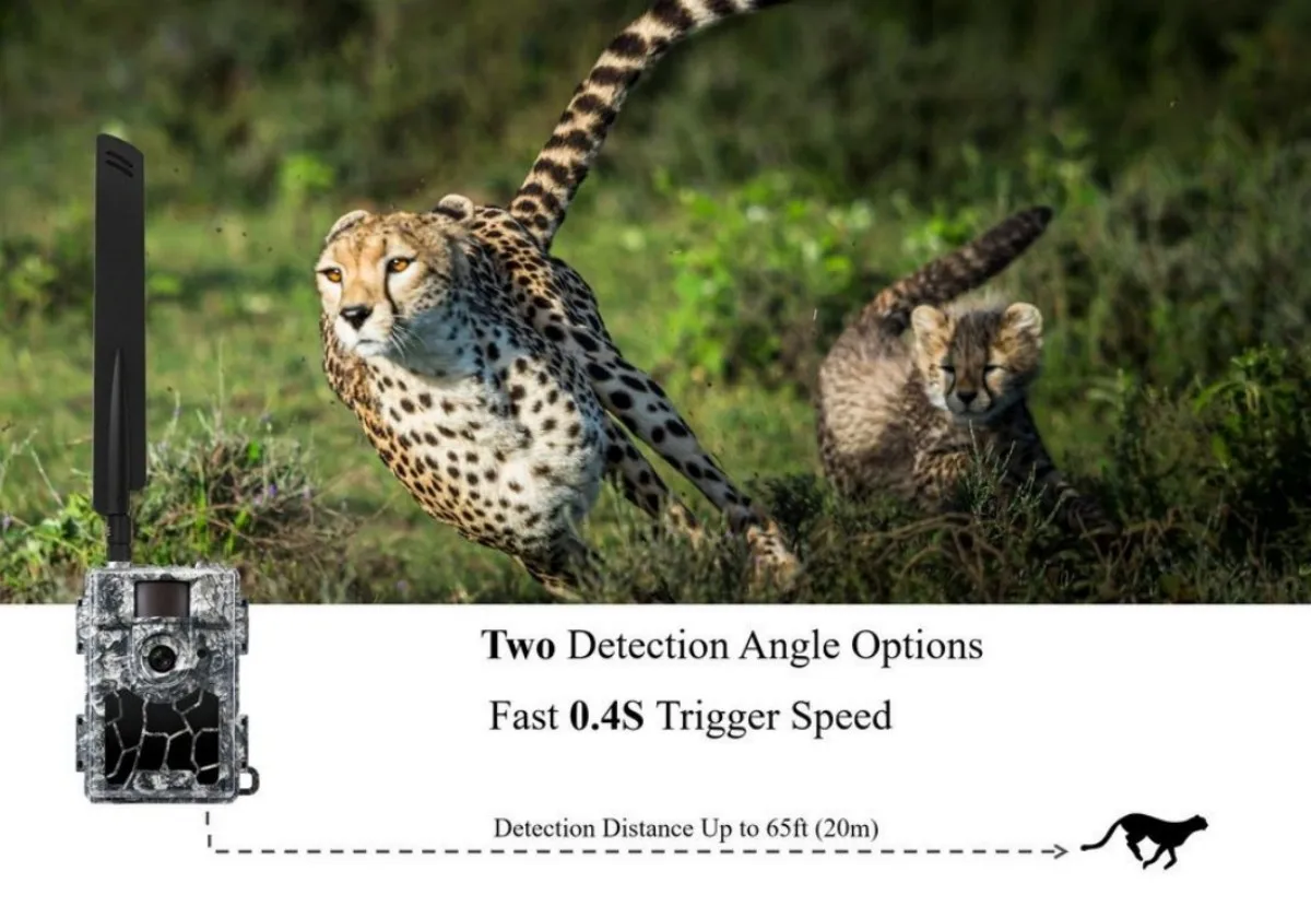 24MP 4G LTE  Wild Game Trail Hunting Camera Photo Traps with 60pcs No Glow IR LEDs GPS APP Setting for Home Garden Security