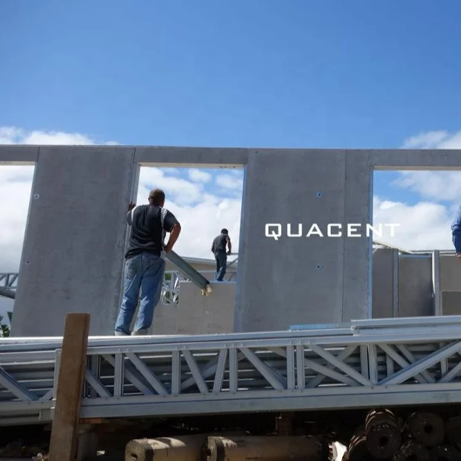 Строительство недвижимости из волокнистого цемента пси стеновая панель сборные изготовлены дом для дождливой погоды климата