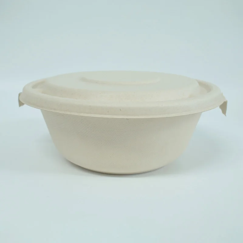 Natural Degradable Compostable Take Out Food Bento Container Box Biodegradable Disposable Sugarcane Bagasse Bowl