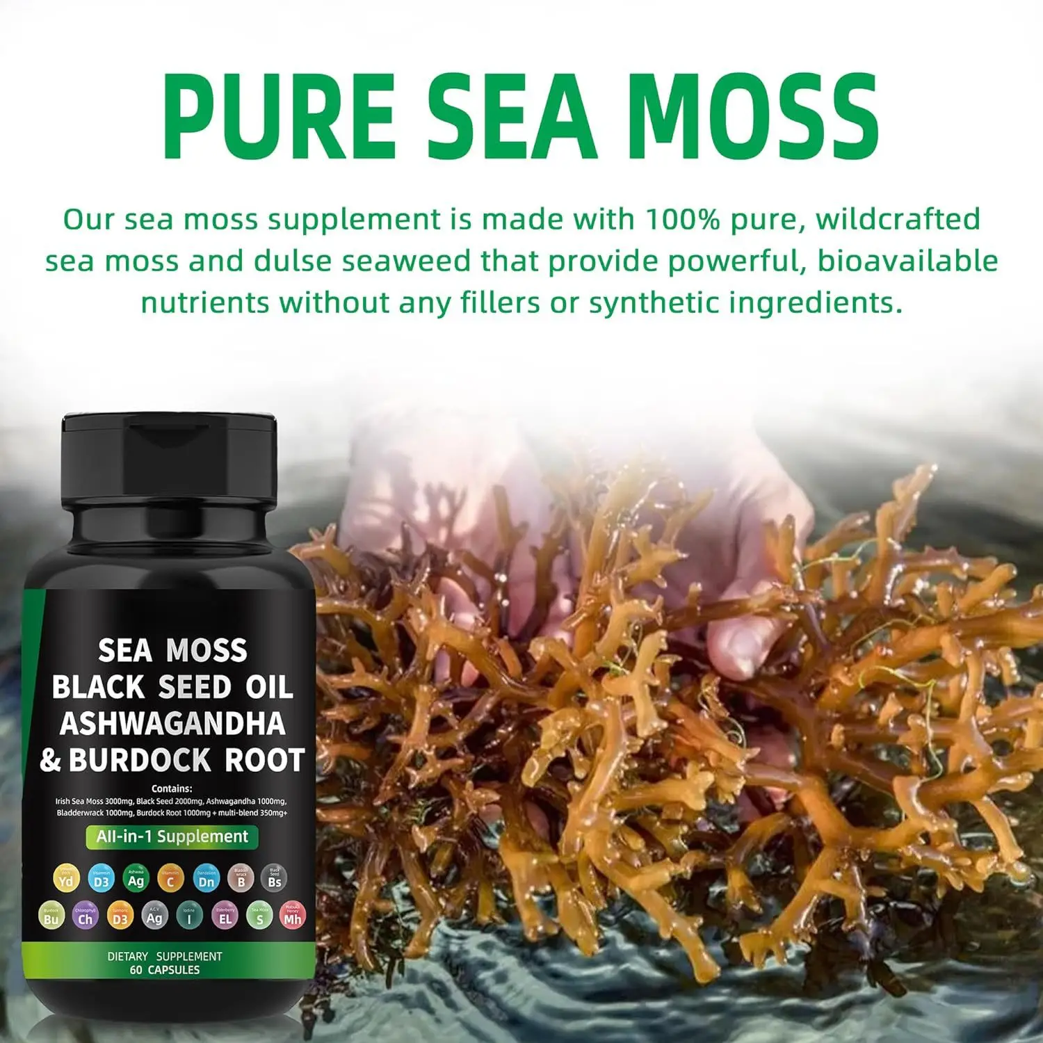 private label  all in Sea Moss Irish Black Seed Oil Ashwagandha capsules with Burdock Root as Multivitamin  health Supplements