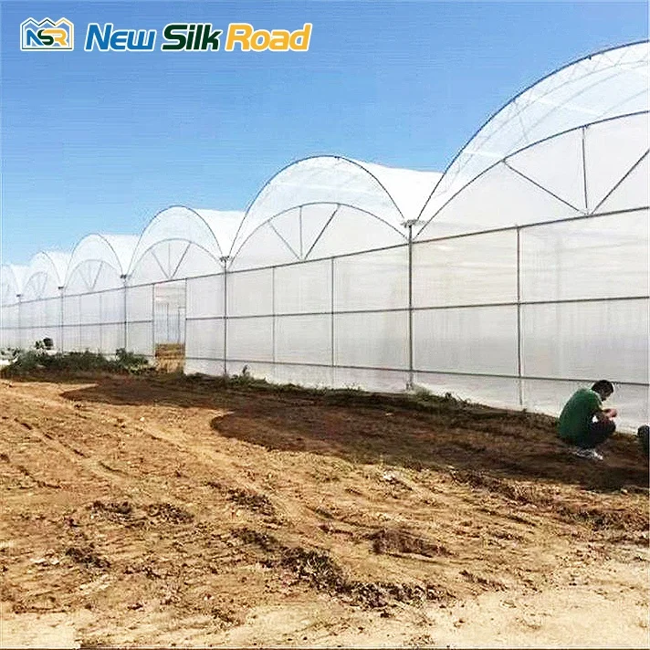 NSR Greenhouse Other Greenhouses double layer greenhouse For Sale