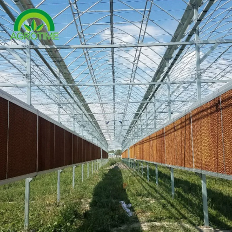 Multi Span Greenhouse Polycarbonate Hydroponics Greenhouse Tunnel