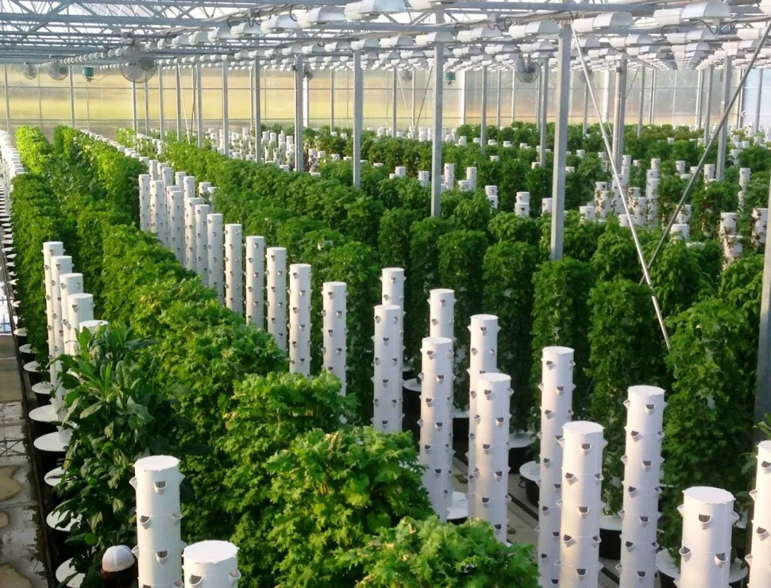 High quality hydroponic system customized hydroponic tower for agricultural greenhouse