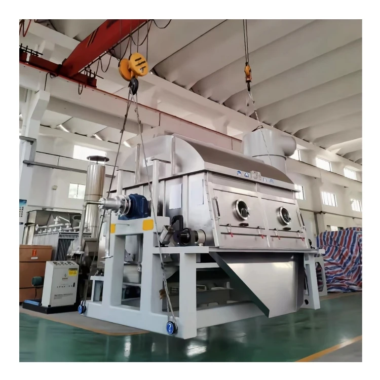 Hot Selling Drum Scraper High Quality Roller Industrial Food Crystallizer Equipment Wastewater Drying Flaker Rotary Dryer