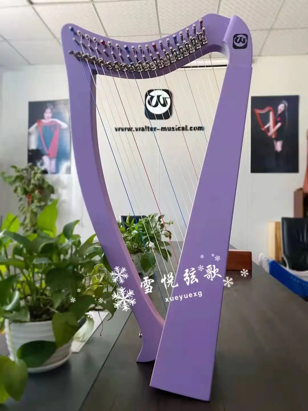 Walter wholesale High-end 19 Strings with Tuning Wrench and Carry Bag purple Irish Harp for sale